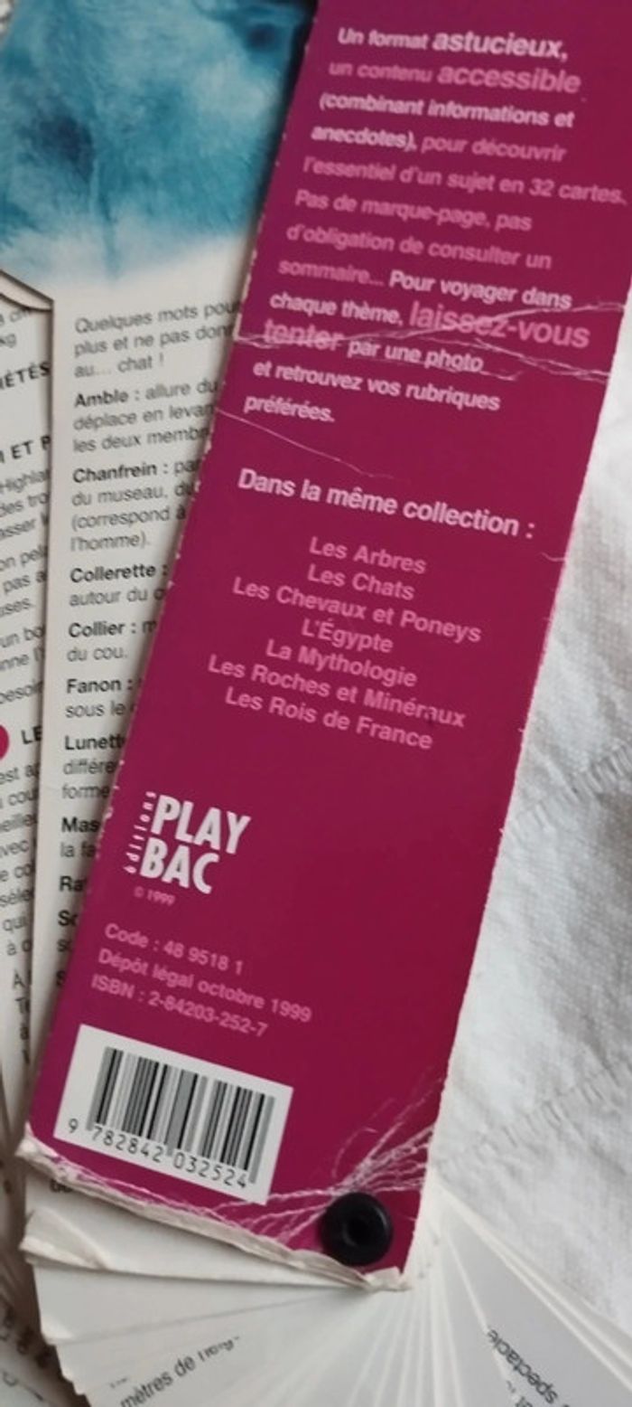 L'éventail des Chiens - photo numéro 6