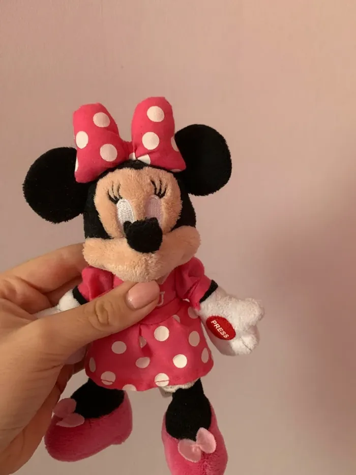 Mini Dinsey - photo numéro 2