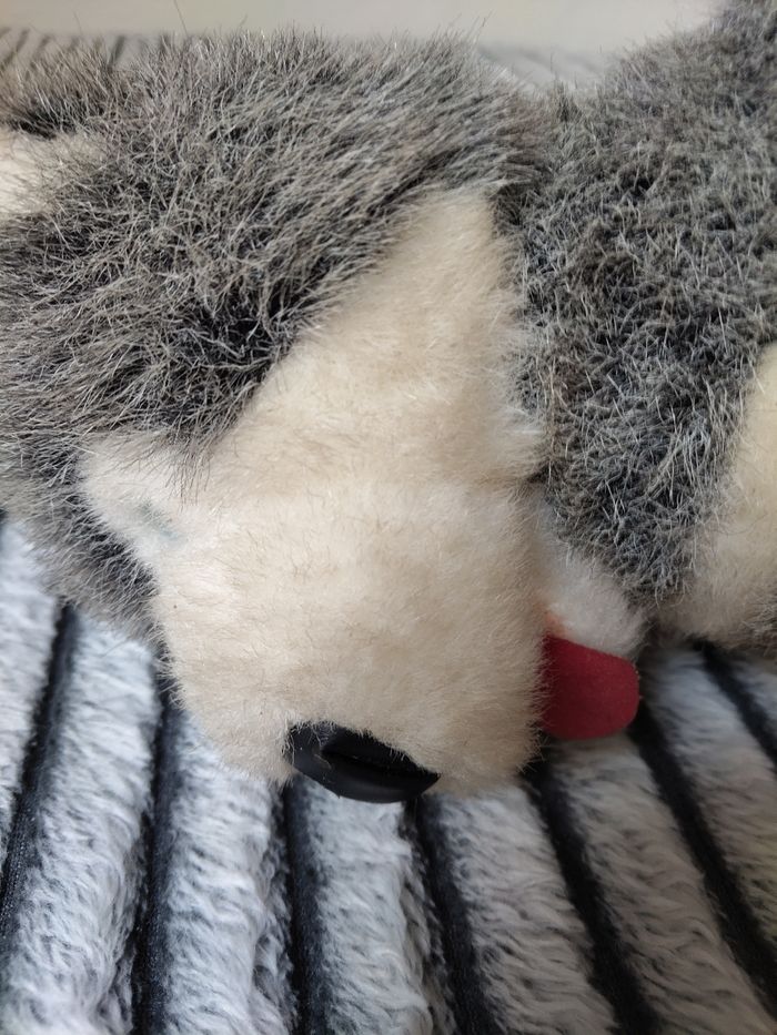 Peluche chien husky - photo numéro 6