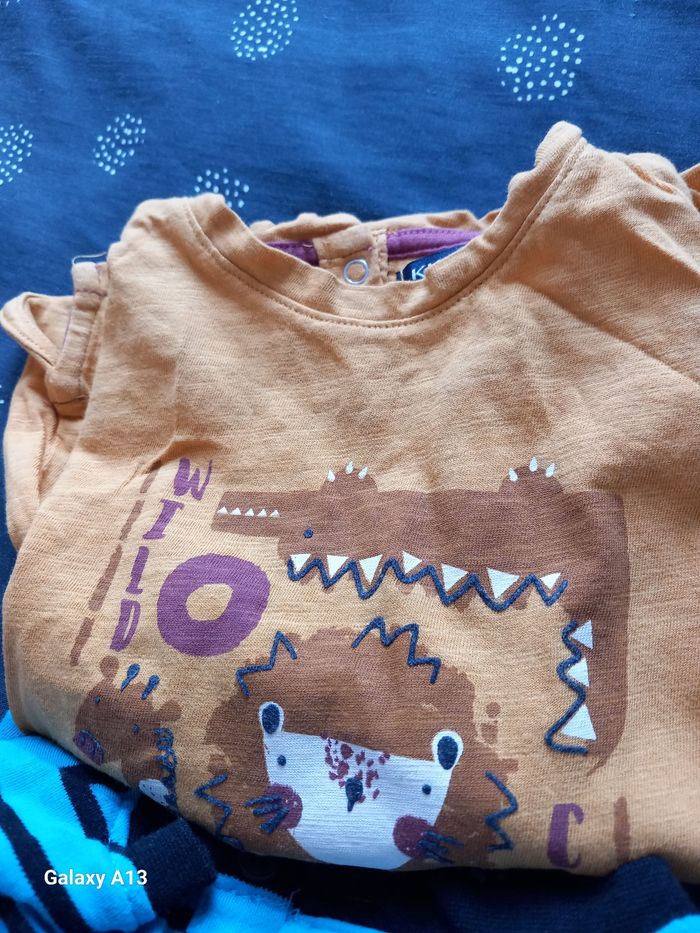 Lots 4 T-Shirt 24 mois plus 1 chemise 24 mois - photo numéro 5