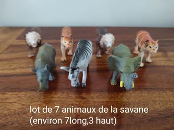 Animaux de la savane
