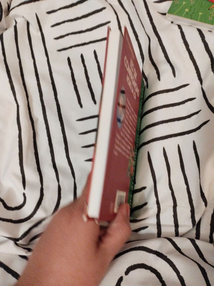 Livre Les 6 compagnons hors la loi - photo numéro 3