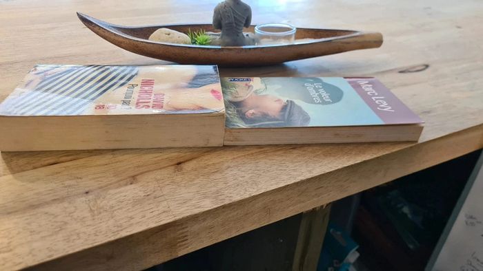 Lot 2 livres format poches - photo numéro 3