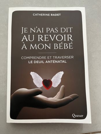 Livre je n’ai pas dit au revoir à mon bébé