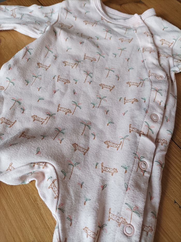 Grenouillère - photo numéro 2