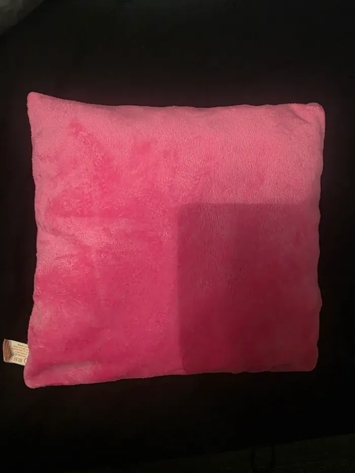Coussin pat patrouille - photo numéro 3