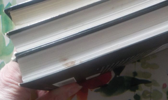 3 Cascade policier - photo numéro 5