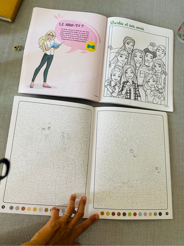 Lot livres coloriages - photo numéro 2