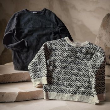 Lot 2 pulls garçon 3/4 ans