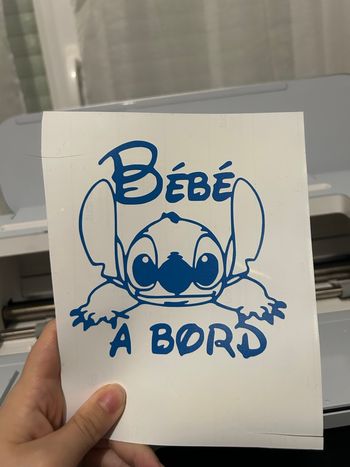Bébé a bord 