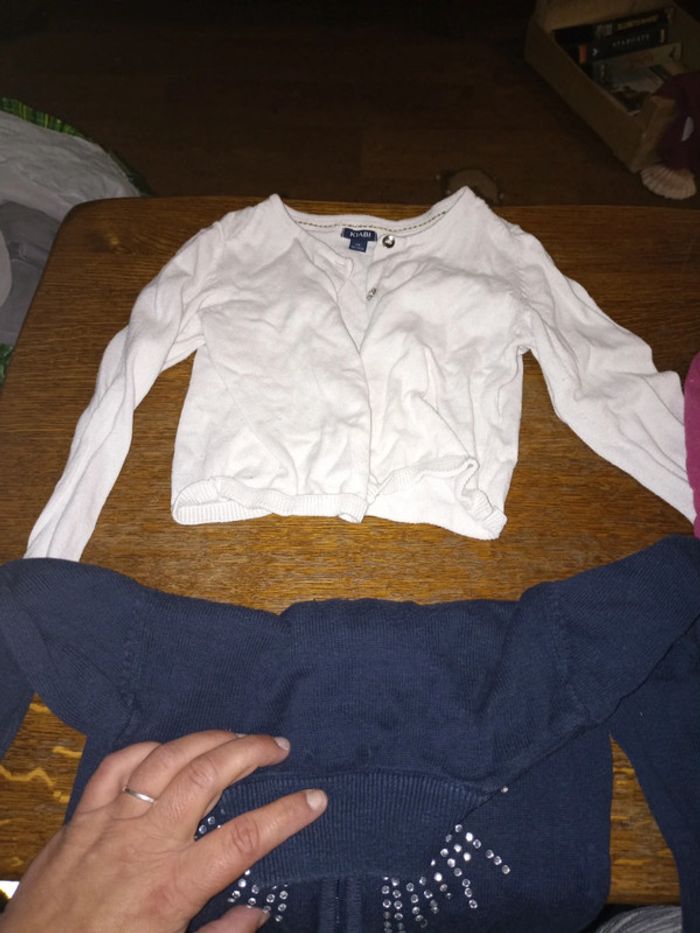 2 Gilets - photo numéro 2