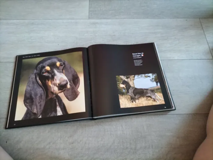 Livres sur les chiens - photo numéro 3