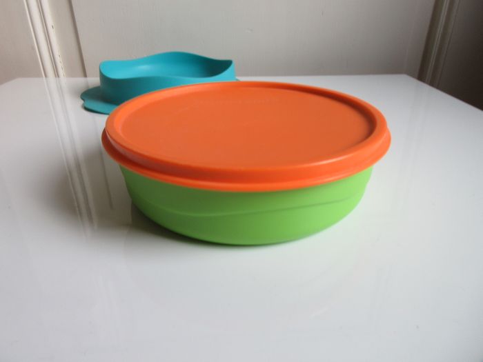 TUPPERWARE - Assiette bébé avec ventouse 500ml - photo numéro 4