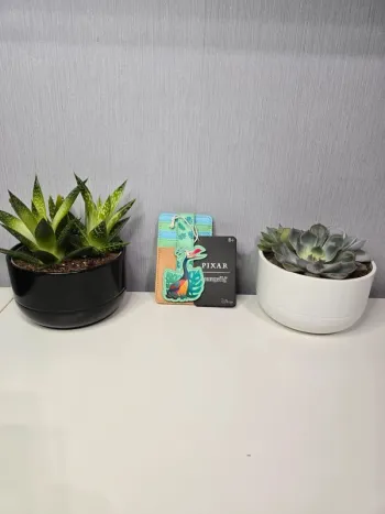 porte-cartes Loungefly Là-Haut Kévin
