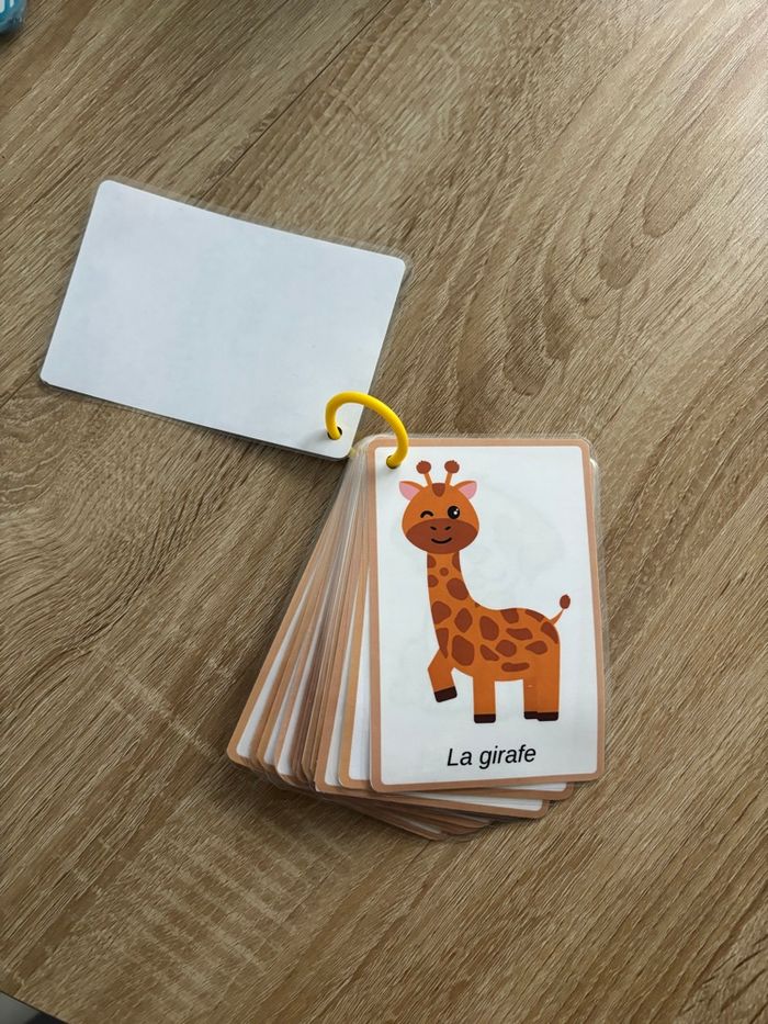 Lot de 12 cartes éducatives des animaux