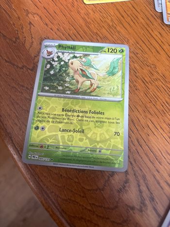 Pokémon phyllli pv120