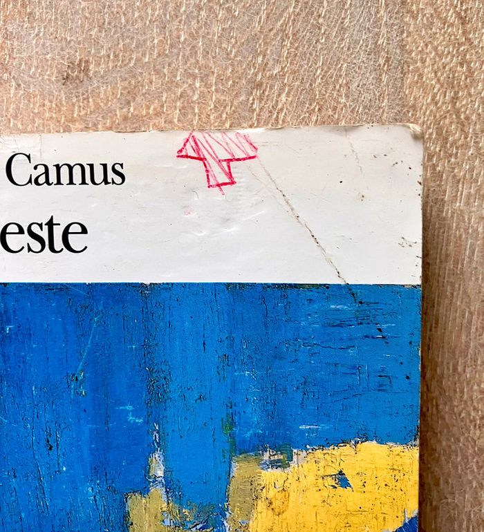 La Peste de Albert Camus Edition Gallimard Collection Folio - photo numéro 2
