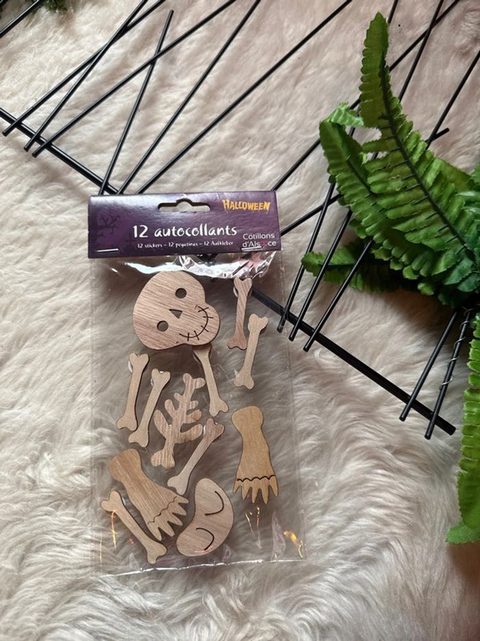 Décoration squelette en bois - NEUF