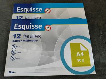 Lot 2 paquets feuilles millimétrées