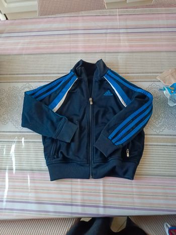 Veste adidas