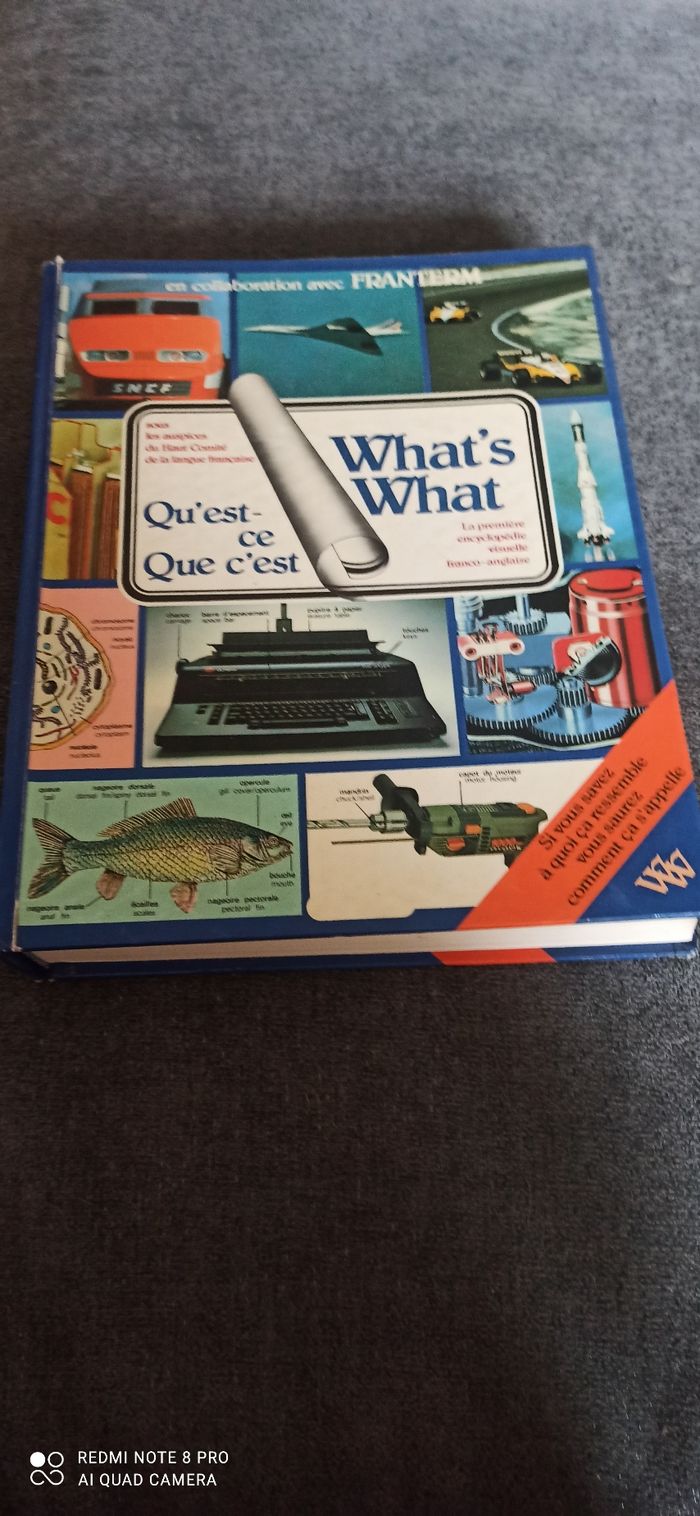 Livre what s what