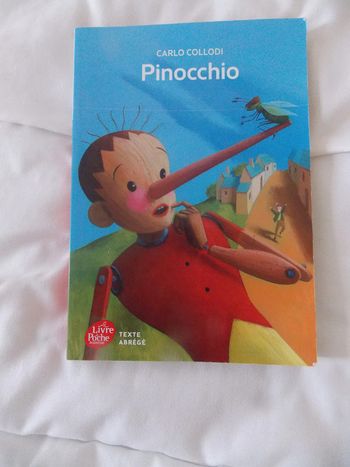 Livre Pinocchio Carlo Collodi