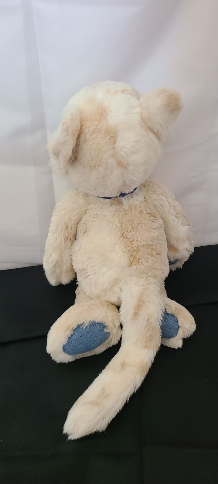 Chat Miau Denim Darlings - photo numéro 2