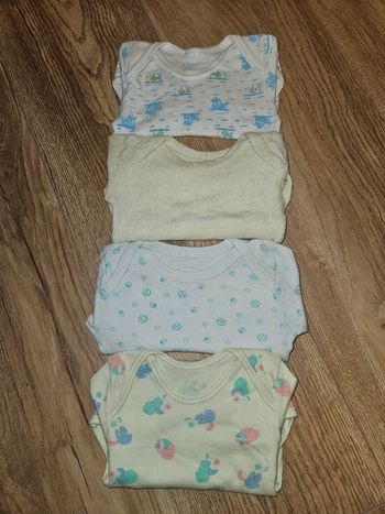 Lot de 4 bodys manches courtes