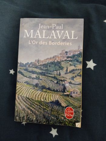 Livre (96) 📚 L'Or des Borderies