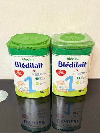 Lots 2 de lait en poudre 1er âge Bledilait
