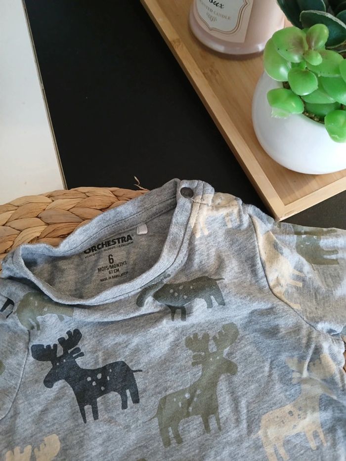 Haut orchestra Taille 6 mois 🌿🦊 - photo numéro 3