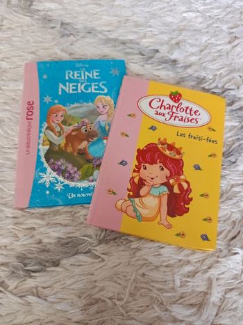 Lot de 2 livres bibliothèque Rose