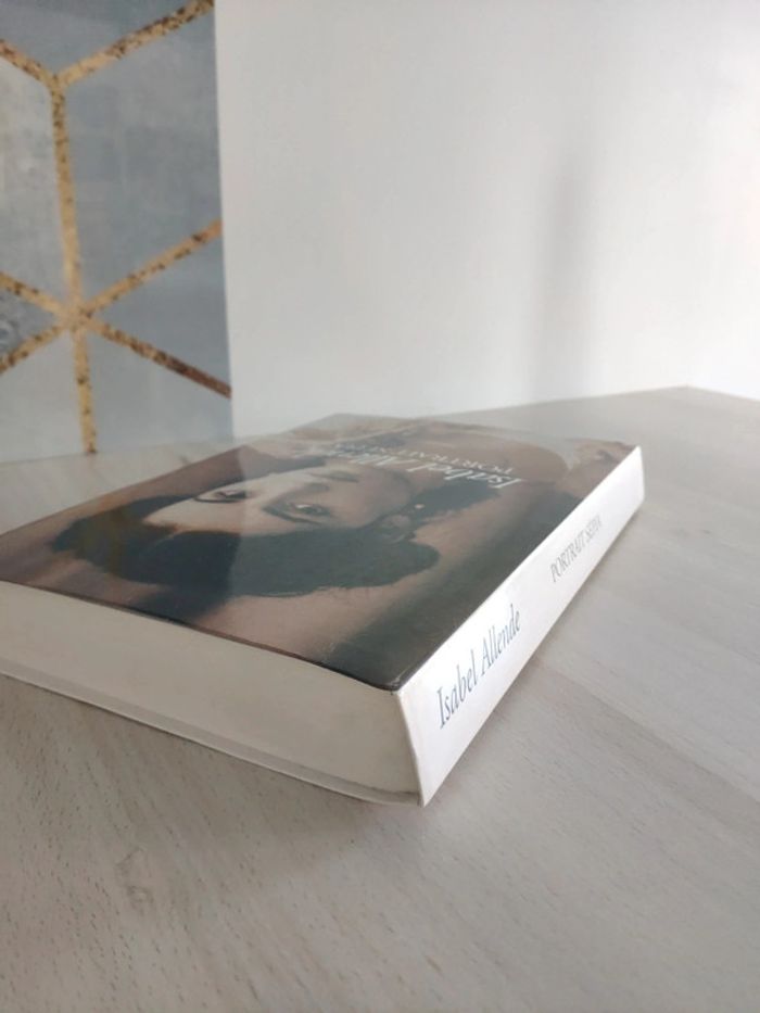 Livre grand format Portrait sépia Isabel Allende - photo numéro 6
