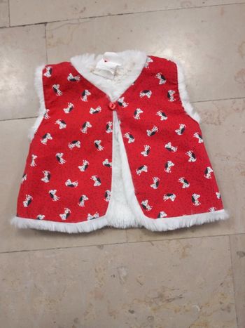 Fourrure sans manche