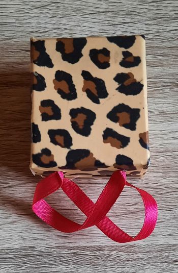 Boite à bijoux léopard