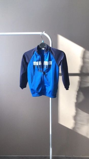 Ensemble Puma