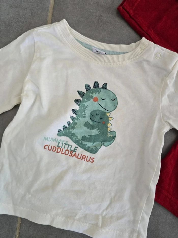 Lot de 2 tee shirts manches longues - photo numéro 2