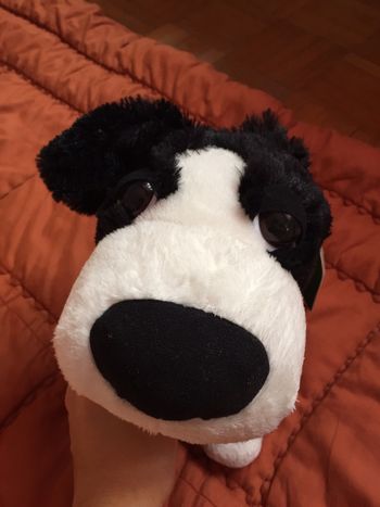 Peluche chien Big Headz neuve avec étiquette