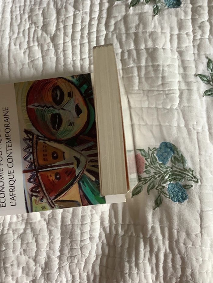 L’Afrique au secours de l’occident, par Anne-Cecile Robert - photo numéro 5