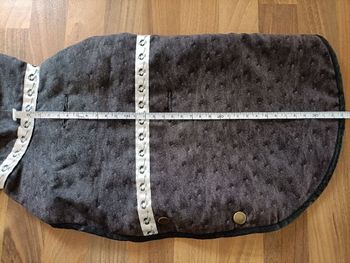 Vêtement chien neuf