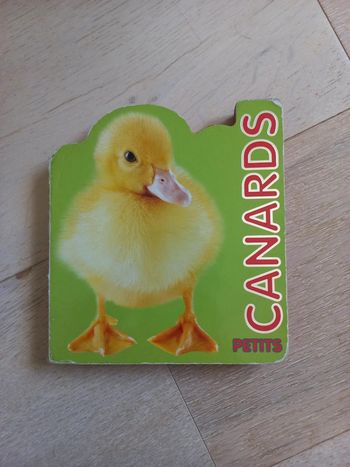 Petits canards