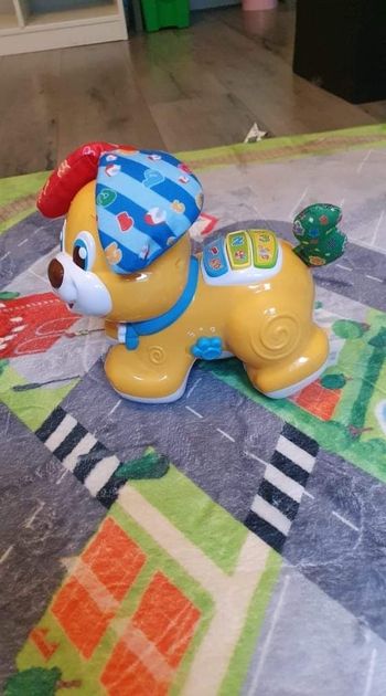 Bibou le chien que fait coucou