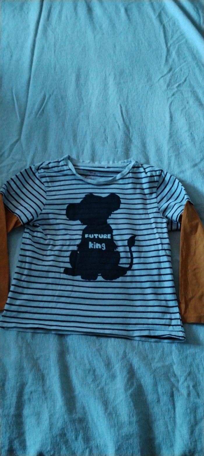 Maillot roi lion
