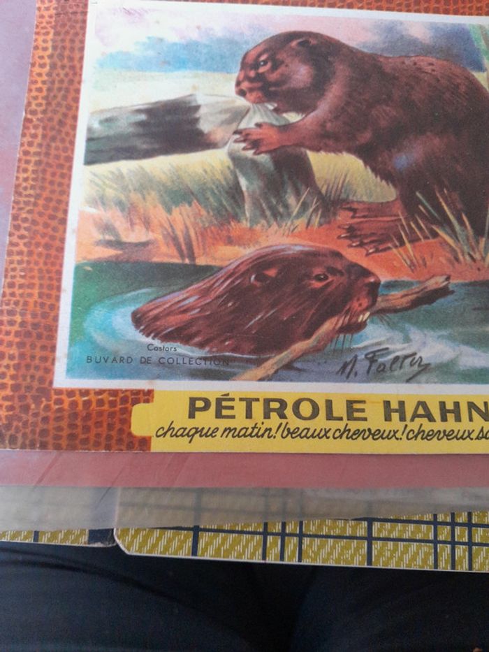 Cahier d'école vintage - photo numéro 7