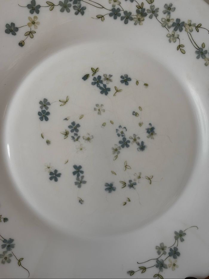 Vintage lot de 5 assiettes plates Arcopal véronica myosotis - photo numéro 6