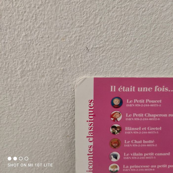 La princesse au petit pois - photo numéro 3