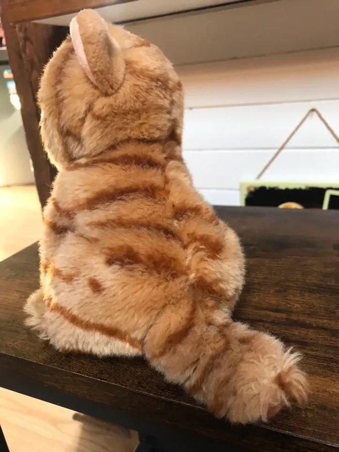 Peluche Chat chaton Roux et blanc en TBE - photo numéro 2