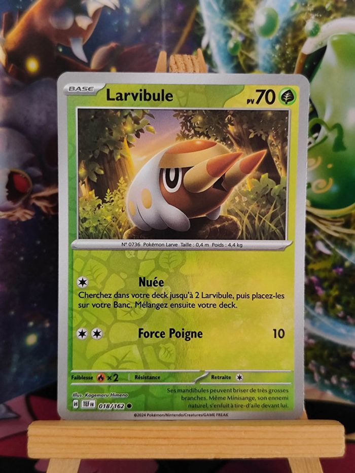 Larvibule reverse 20/162 Forces Temporelles