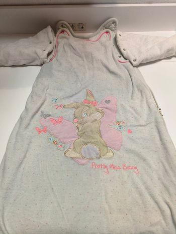 Gigoteuse turbulette Disney 9-24 mois fille hiver