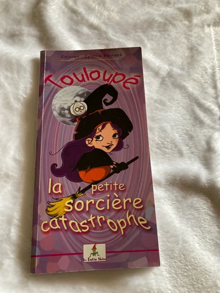 Livre Touloupé , la petite sorcière, catastrophe